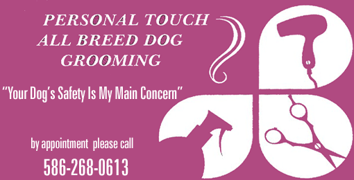 Dog Grooming Salon